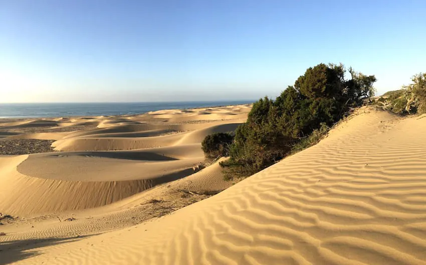 Duna de playa en Cap Sim