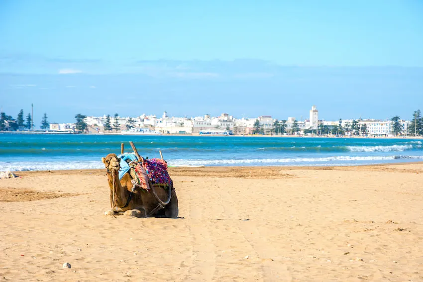 Plage Essaouira
